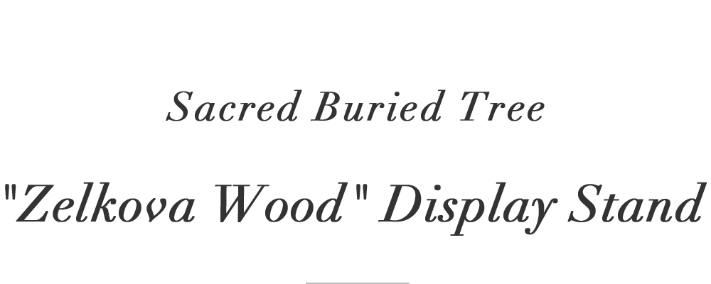 Sacred Buried Tree Zelkova Wood Display Stand